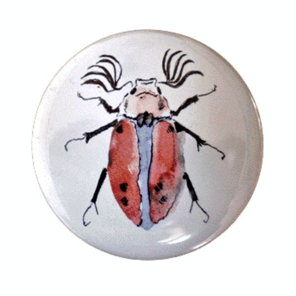 Flaschenöffner "Beetle"