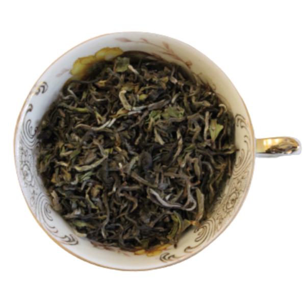 Weißer Tee Nepal Jun Chiyabari