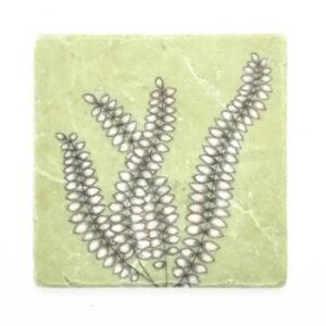 Natursteinfliese "Mauerfarn"