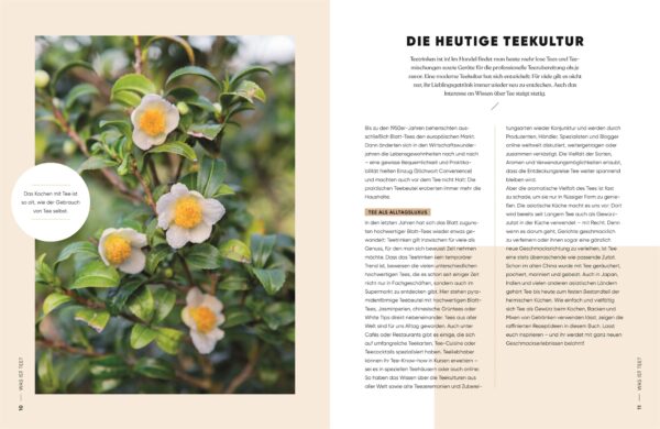 TASTY TEA - Kochen, backen und mixen mit Tee