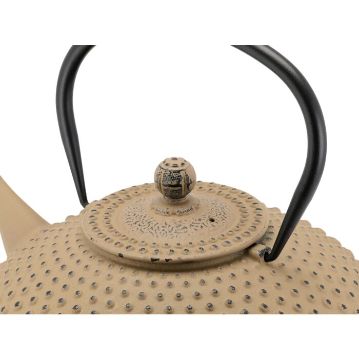 Bredemeijer Teekanne Xilin 1,25L Gusseisen, camel