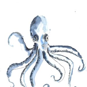 Postkarte "O Polvo"